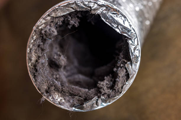 Best Local Air Duct Cleaning Services  in Auburn, GA